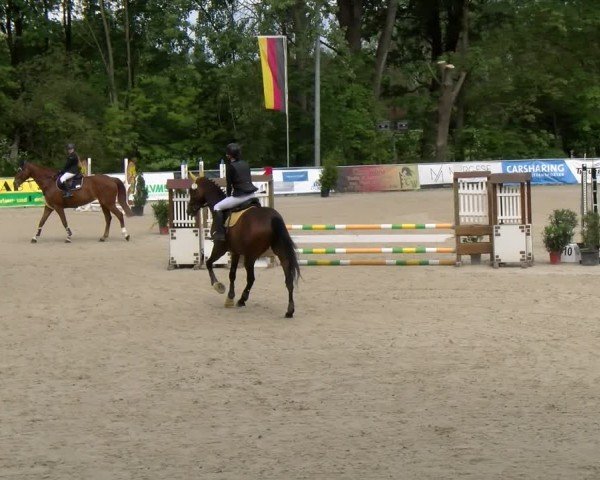 Reitturnier Karlsfeld/Obb. 2024