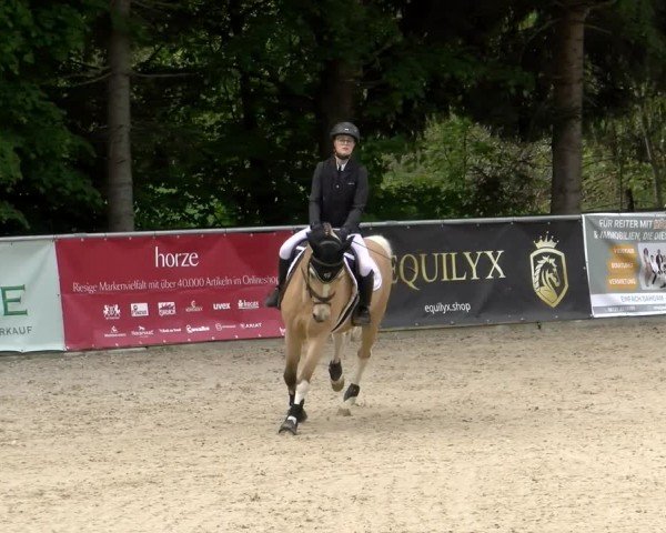 Reitturnier Karlsfeld/Obb. 2024