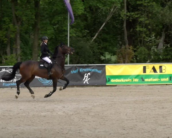 Reitturnier Karlsfeld/Obb. 2024