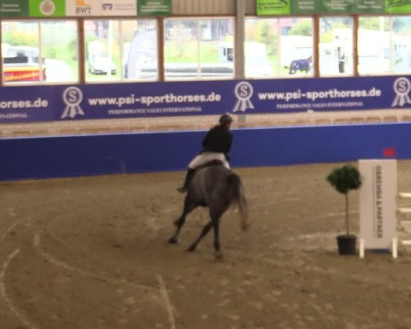Euregio Springturnier Isterberg 2021