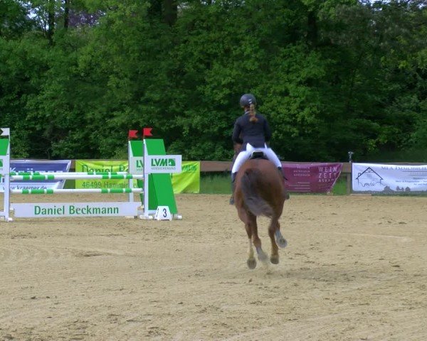 Reitturnier Wesel-Obrighoven 2024