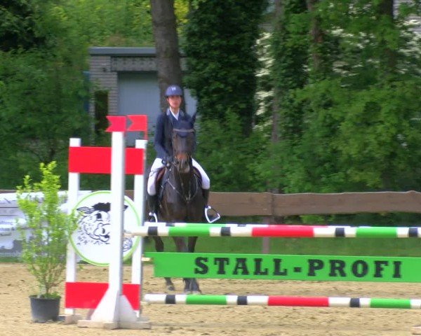Reitturnier Wesel-Obrighoven 2024