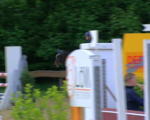 Reitturnier Wesel-Obrighoven 2024