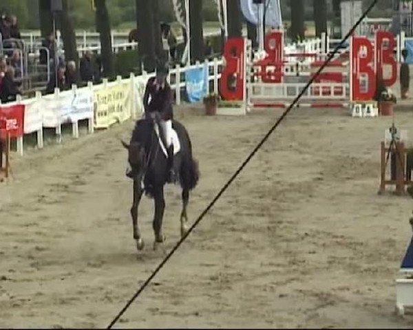 Reitturnier Werne-Lenklar 2012