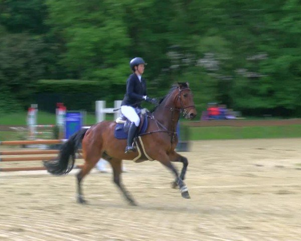 Reitturnier Wesel-Obrighoven 2024