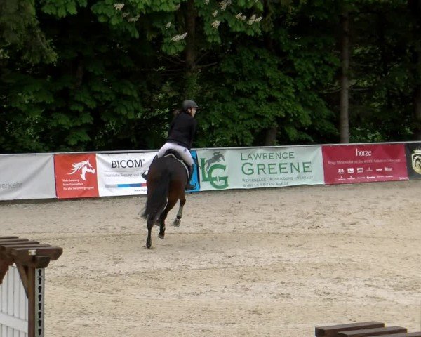 Reitturnier Karlsfeld/Obb. 2024
