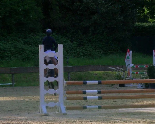 Reitturnier Wesel-Obrighoven 2024