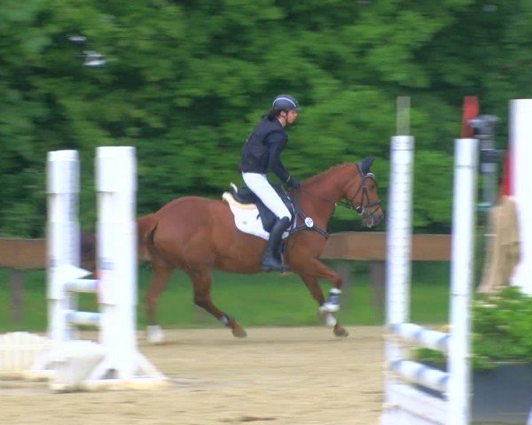 Reitturnier Wesel-Obrighoven 2024