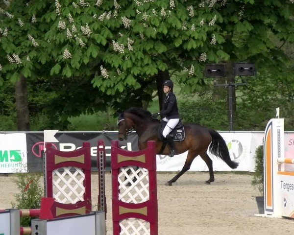 Reitturnier Karlsfeld/Obb. 2024
