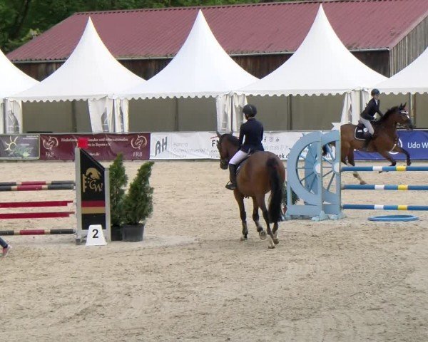 Reitturnier Karlsfeld/Obb. 2024