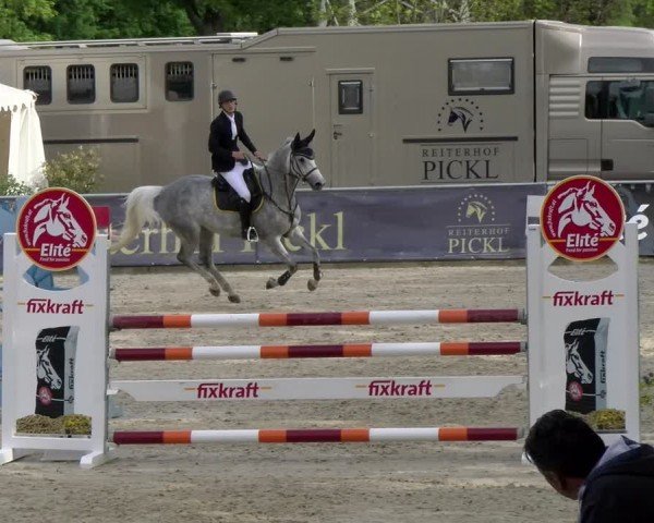 Reitturnier Karlsfeld/Obb. 2024