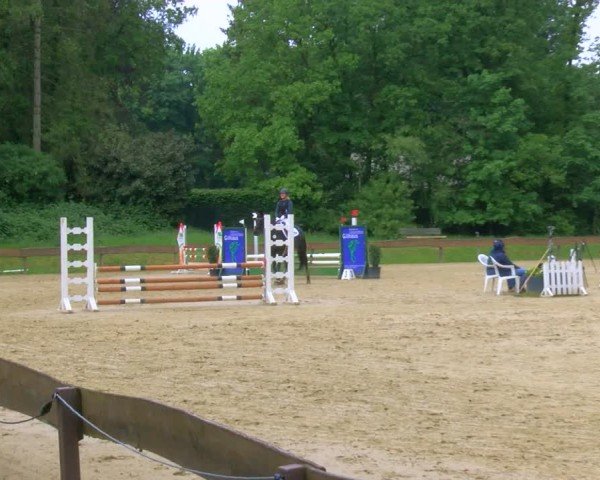 Reitturnier Wesel-Obrighoven 2024