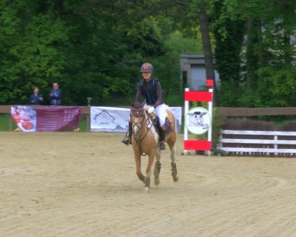 Reitturnier Wesel-Obrighoven 2024