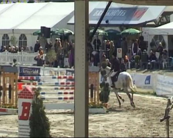 Reitturnier Werne-Lenklar 2012