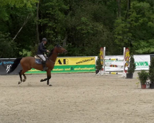 Reitturnier Karlsfeld/Obb. 2024