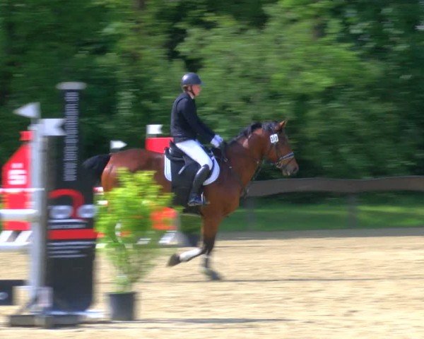 Reitturnier Wesel-Obrighoven 2024