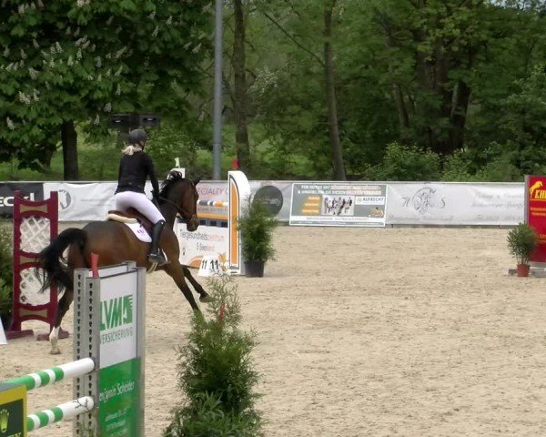 Reitturnier Karlsfeld/Obb. 2024