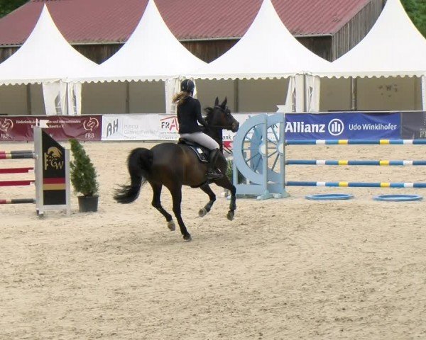 Reitturnier Karlsfeld/Obb. 2024