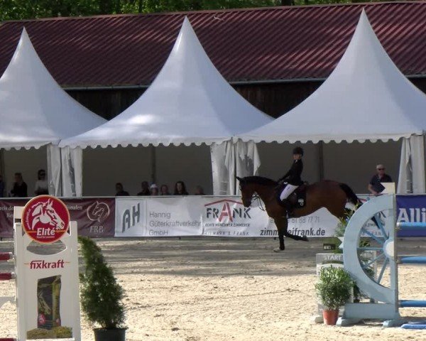 Reitturnier Karlsfeld/Obb. 2024