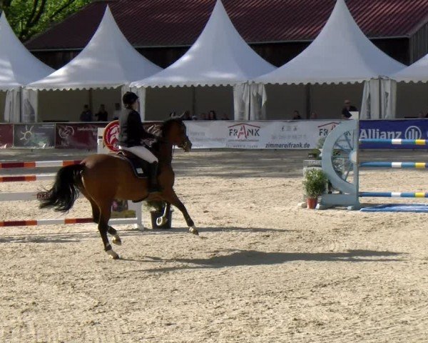 Reitturnier Karlsfeld/Obb. 2024