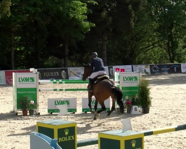 Reitturnier Karlsfeld/Obb. 2024