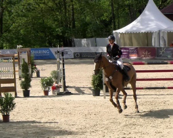 Reitturnier Karlsfeld/Obb. 2024