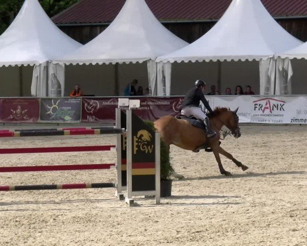 Reitturnier Karlsfeld/Obb. 2024