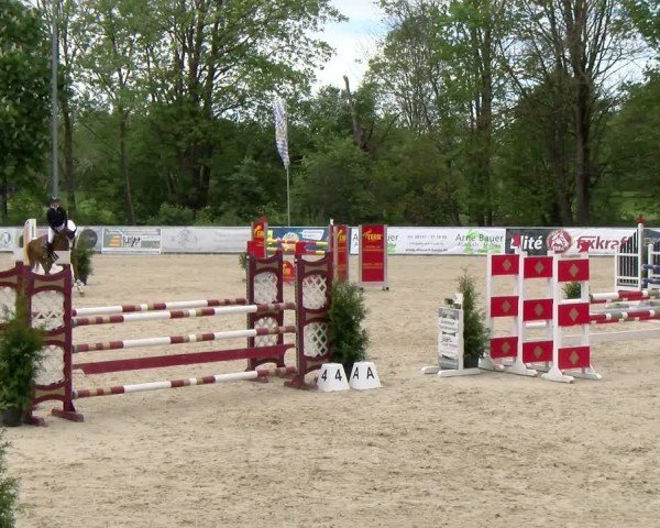 Reitturnier Karlsfeld/Obb. 2024