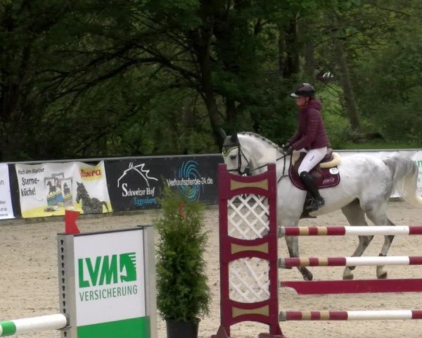 Reitturnier Karlsfeld/Obb. 2024