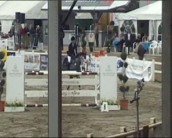 Werne-Lenklarer Reitertage vom 13.-15.+17.-22.04.2012 auf der Reitsportanlage Gripshöver