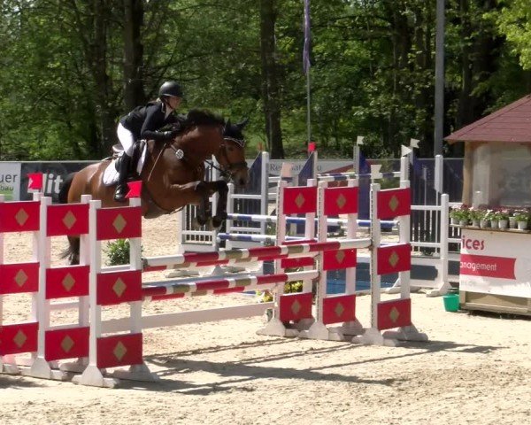 Reitturnier Karlsfeld/Obb. 2024