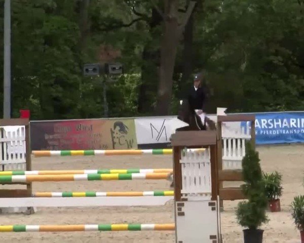 Reitturnier Karlsfeld/Obb. 2024