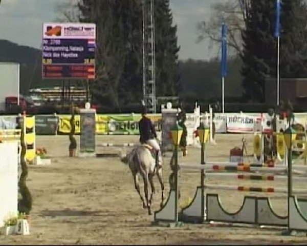 Werne-Lenklarer Reitertage vom 13.-15.+17.-22.04.2012 auf der Reitsportanlage Gripshöver