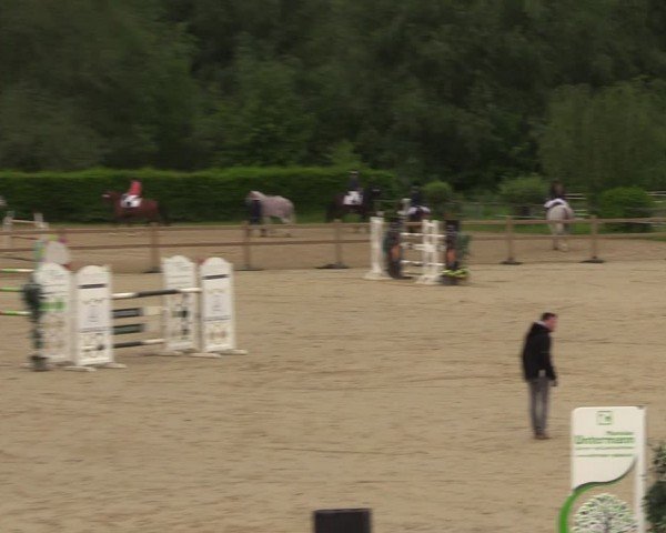Reitturnier Kamen 2024