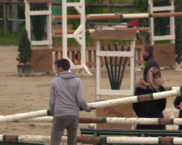 Reitturnier Kamen 2024
