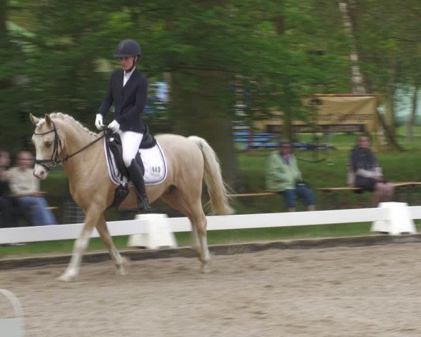 Reitturnier Gallinchen 2024