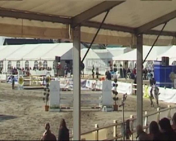 Reitturnier Werne-Lenklar 2012
