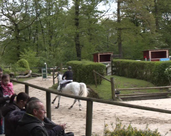 Reitturnier Wuppertal-Gelpe 2024
