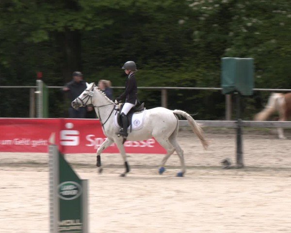 Reitturnier Wuppertal-Gelpe 2024