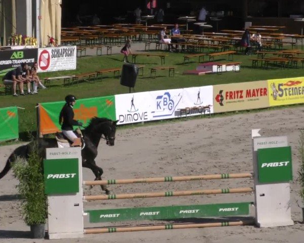 Reitturnier Zeltweg-Farrach 2022