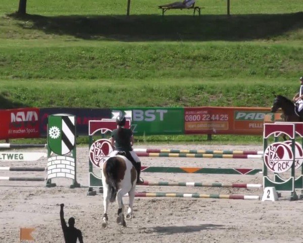 Reitturnier Zeltweg-Farrach 2022
