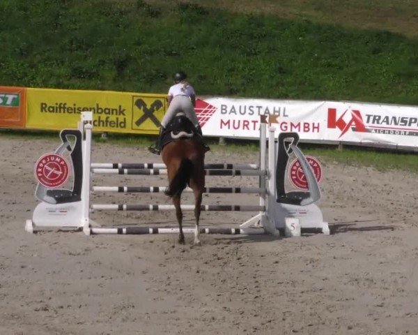 Reitturnier Zeltweg-Farrach 2022