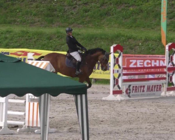 Reitturnier Zeltweg-Farrach 2022