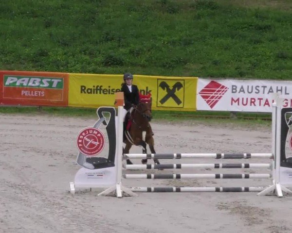 Reitturnier Zeltweg-Farrach 2022
