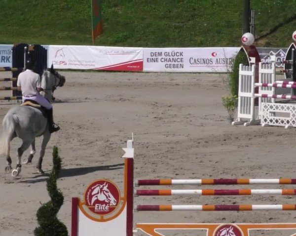 Reitturnier Zeltweg-Farrach 2022