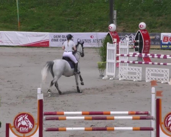 Reitturnier Zeltweg-Farrach 2022