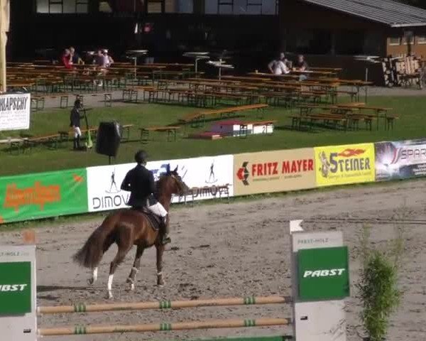 Reitturnier Zeltweg-Farrach 2022