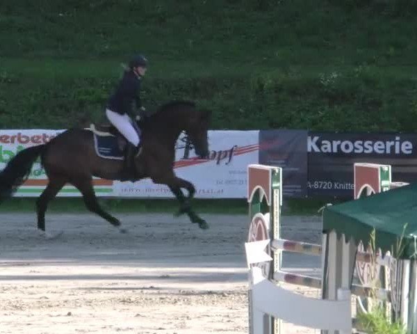 Reitturnier Zeltweg-Farrach 2022