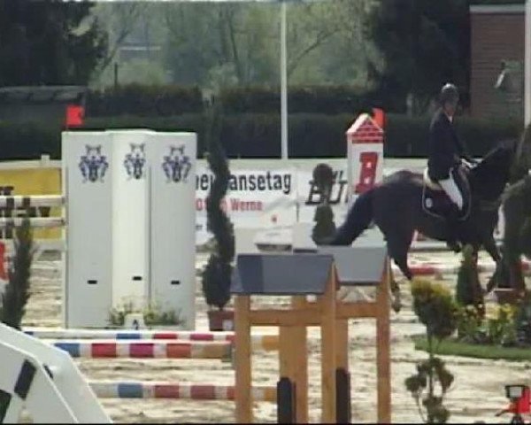 Werne-Lenklarer Reitertage vom 13.-15.+17.-22.04.2012 auf der Reitsportanlage Gripshöver