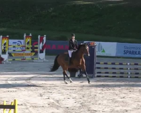 Reitturnier Zeltweg-Farrach 2022